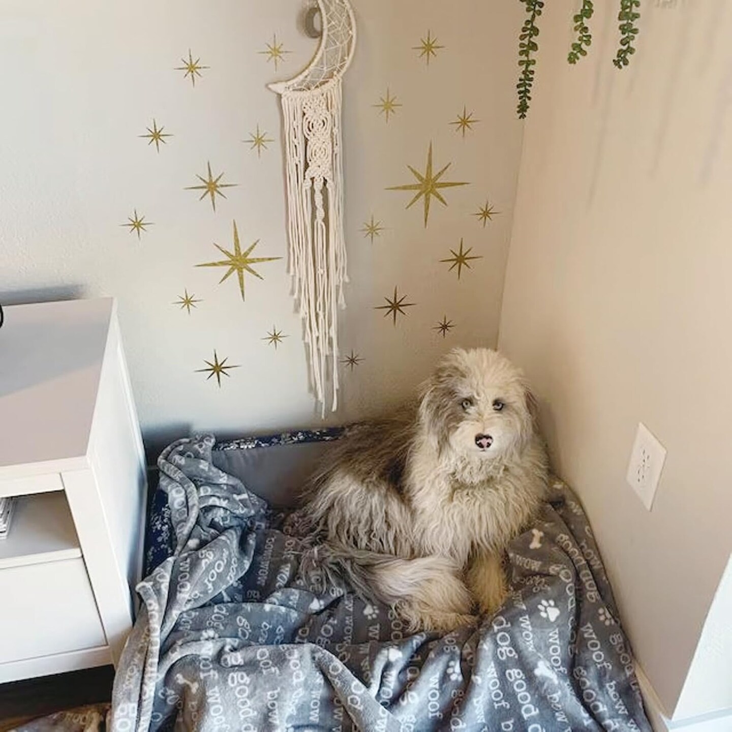 Large Star Stencil for Painting Reusable Paint Stencils(Small Twink