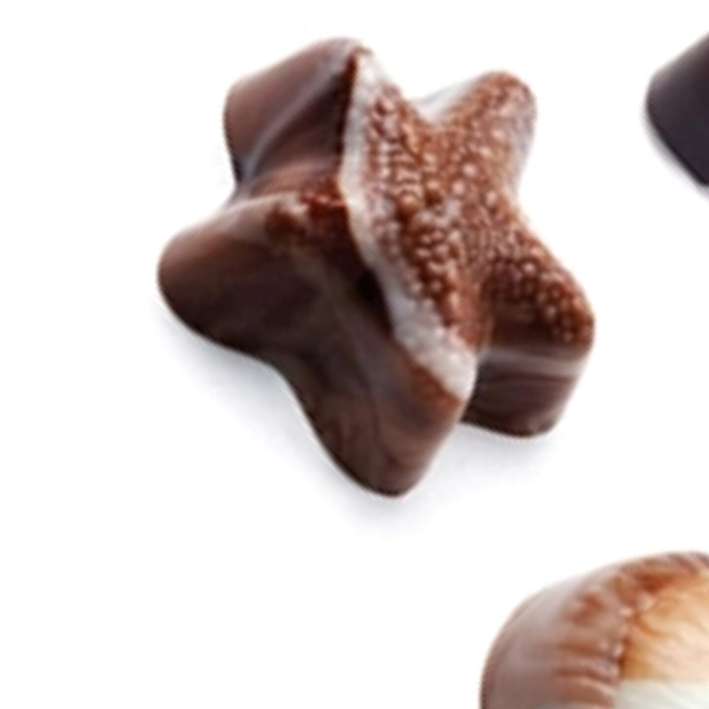 Seashell Continental Chocolate Mold for Elegant Party Favors