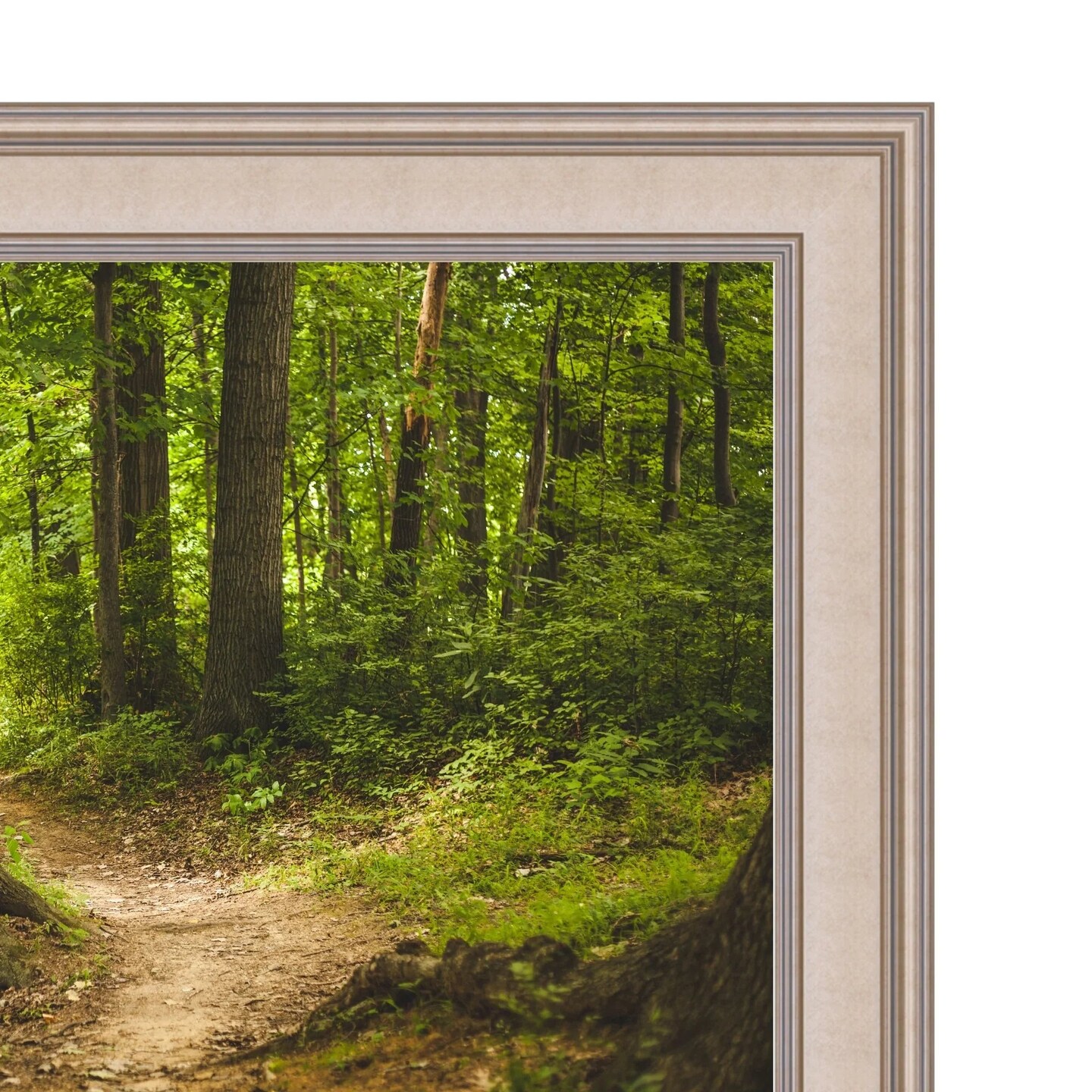 32 Inch TV Picture Frame - Decorative Custom frame for 32 inch TV Samsung