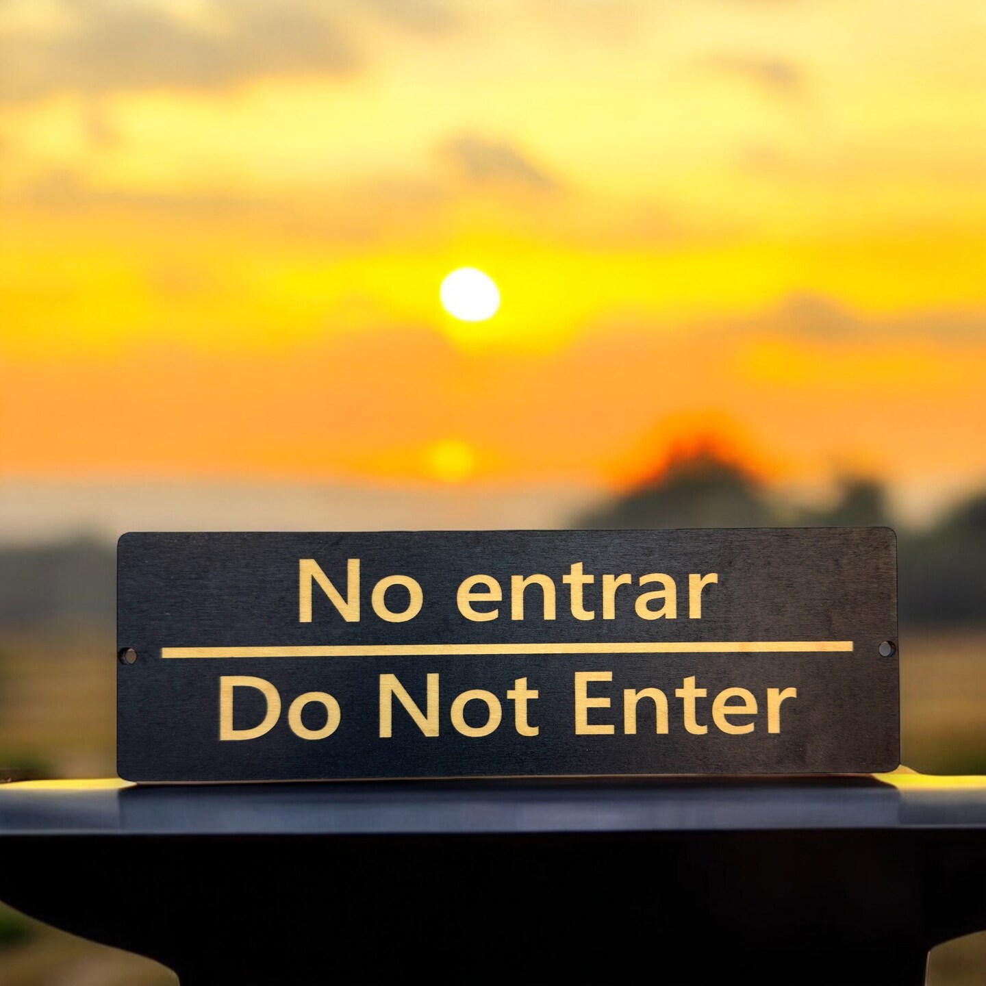 Sign - English and Spanish - No Entrar - Do not enter