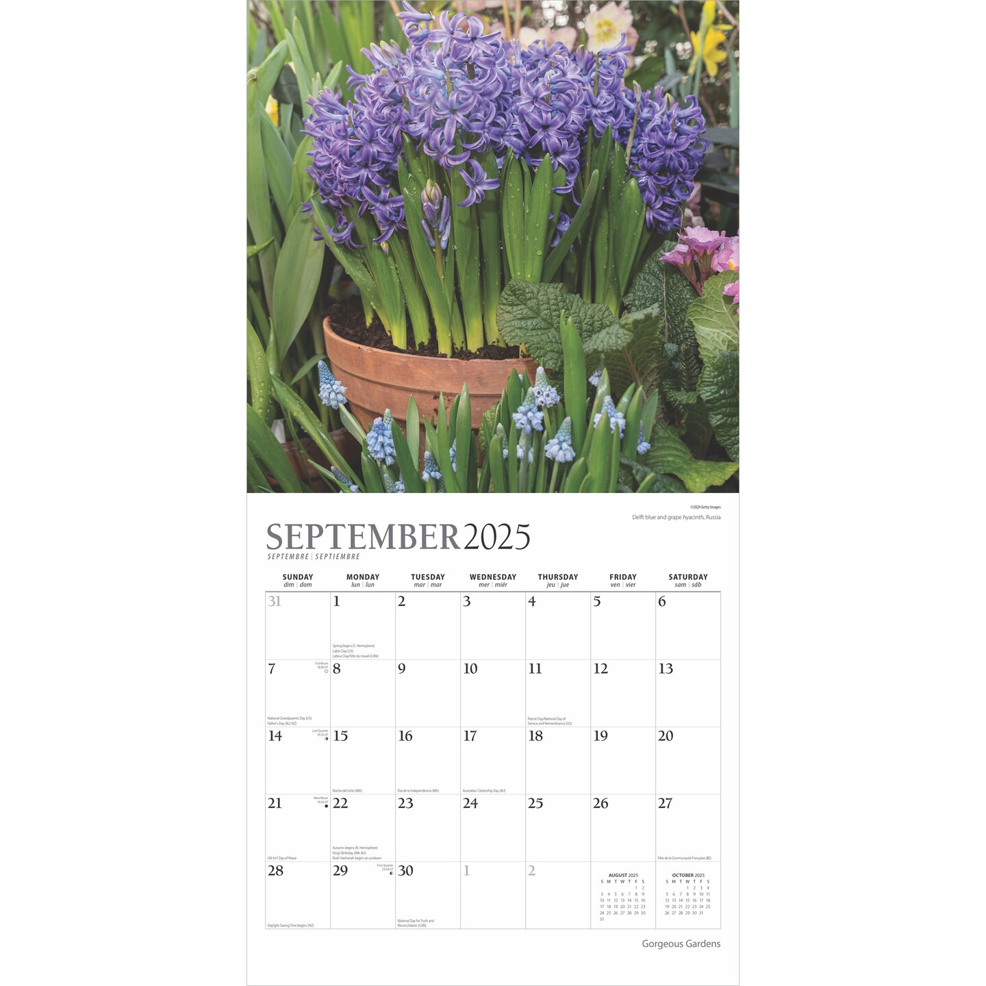 Gorgeous Gardens | 2025 12 x 24 Inch Monthly Square Wall Calendar | Foil Stamped Cover | Plato | Outdoor Home Country Nature