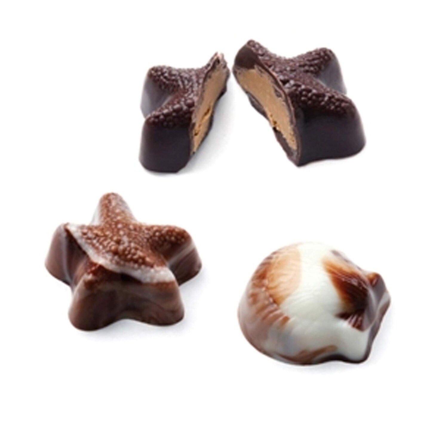 Seashell Continental Chocolate Mold for Elegant Party Favors