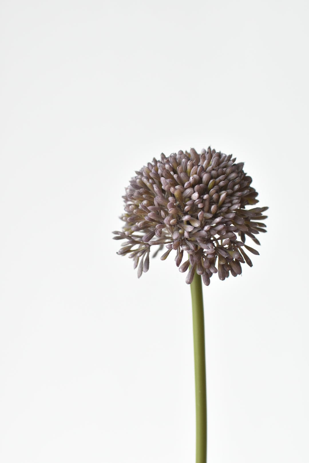 17.5&#x22; Faux Purple Allium Spray Stem