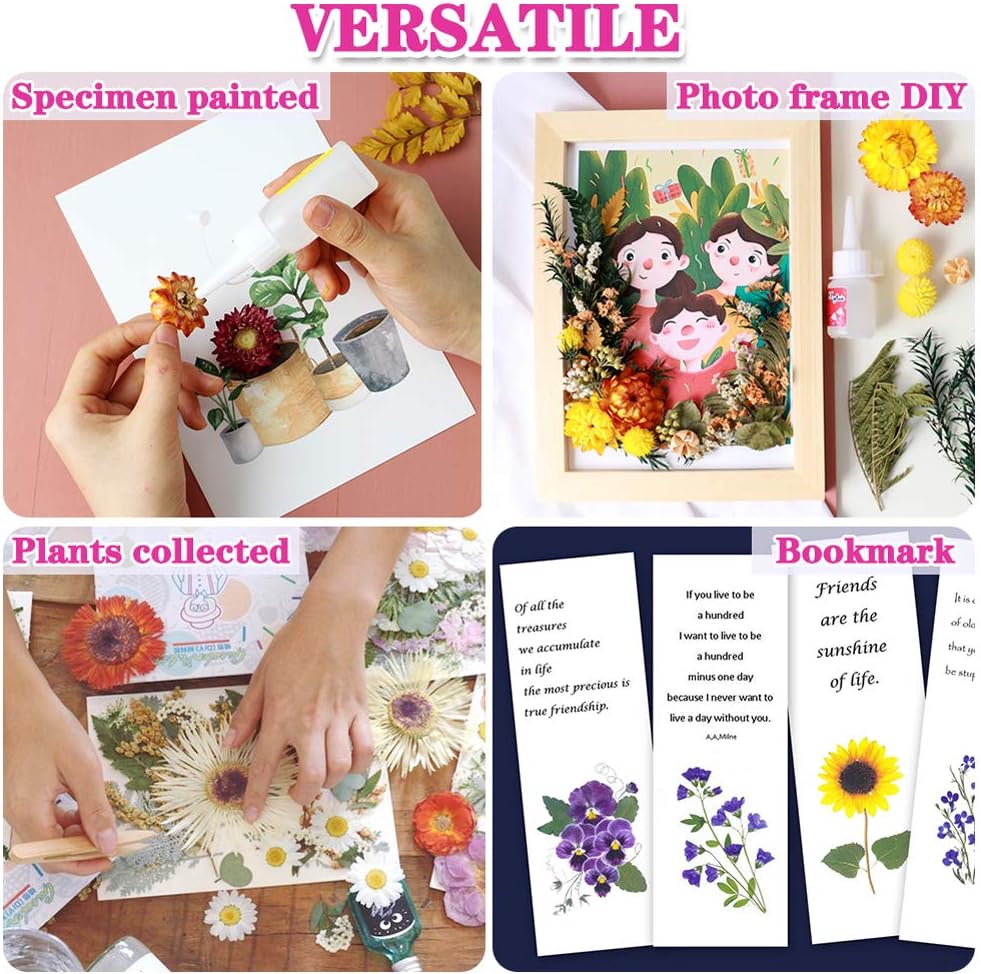 Dried Pressed Leaf Flowers-Multiple Colorful Pressed Flowers Daisies for Craft Resin Jewelry Making Art Craft DIY(Violet)