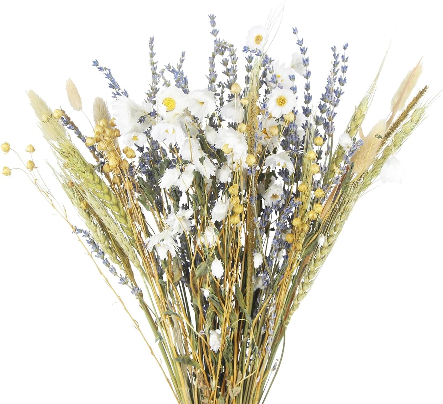 Dried Flowers Bouquet Dried Daisy Flowers Natural Lavender Bundles Dried Gerber Daisies Flowers Bunny Tails Wheat Stalks Floral Arrangements