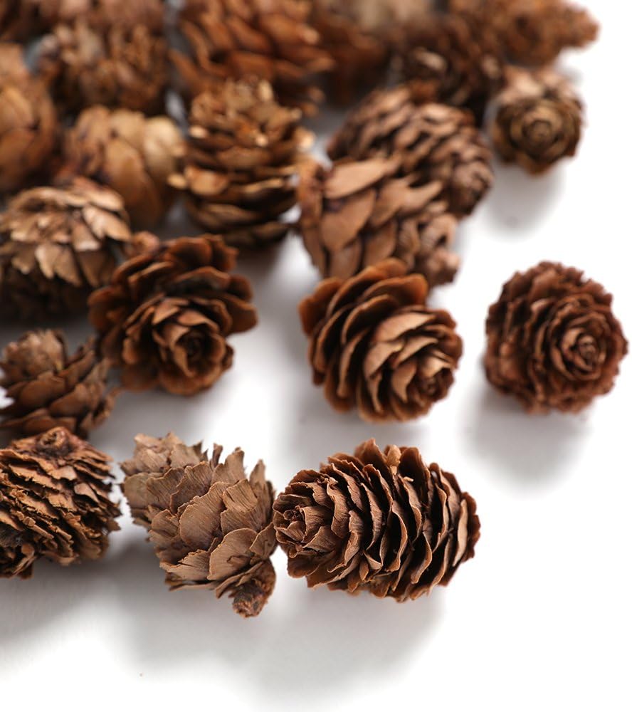 Pine Cones, Mini Pinecones in Bulk for Crafts, 8OZ, Pack of 110 (Natural)