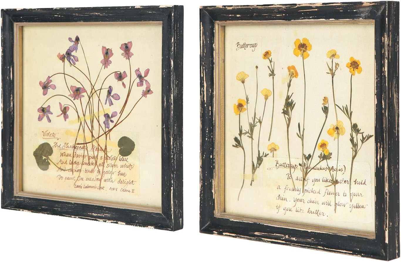 Summer Botanical Wall Decor Set of 2, Vintage Botanical Prints Wooden Framed Floral Plant Pictures, Poster Decor for Bathroom, Bedroom, Living Room, and Office, 10x10 Inch