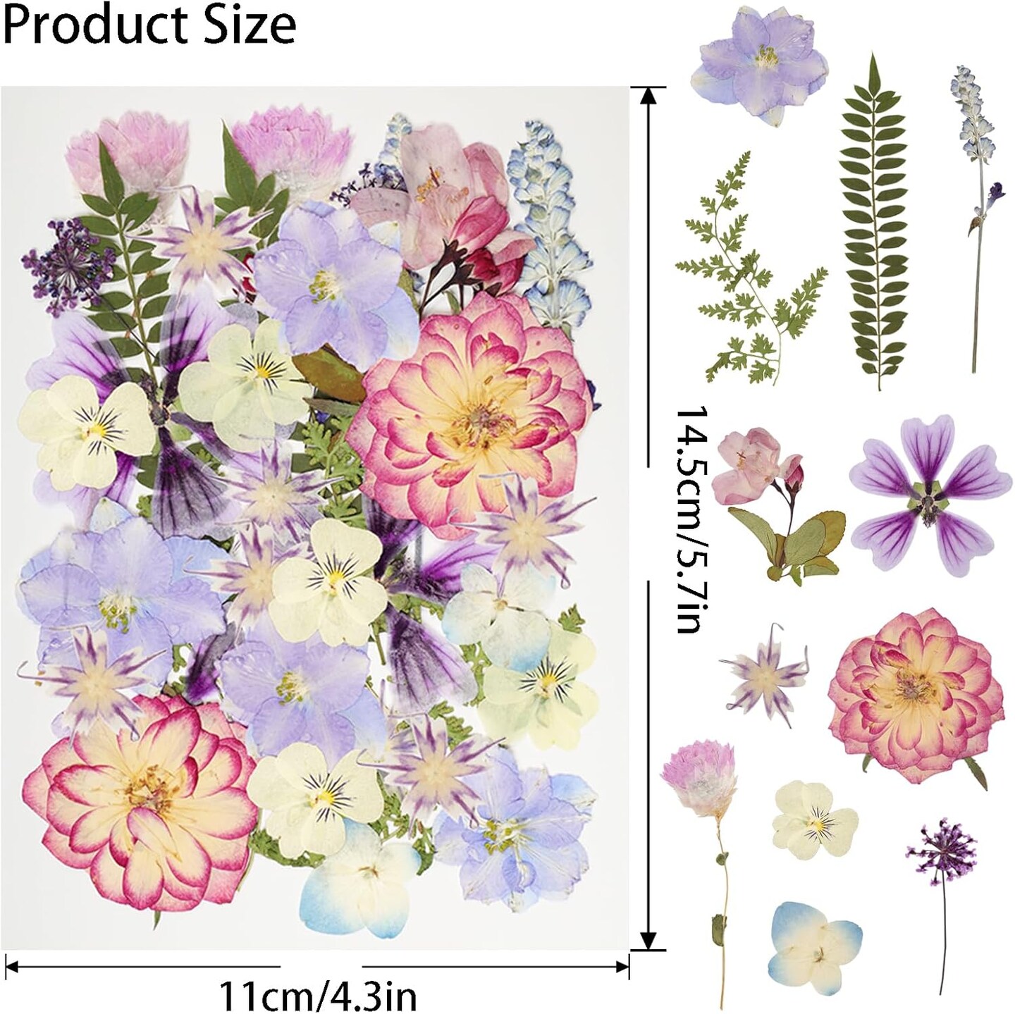 50Pcs Dried Pressed Flowers Resin Mould Real Pressed Flowers Natural Dry Leaves Bulk Mixed Colorful Daisy Herbs Kit with Tweezers for Scrapbooking DIY Candle Jewelry Crafts Making Nails(Purple)