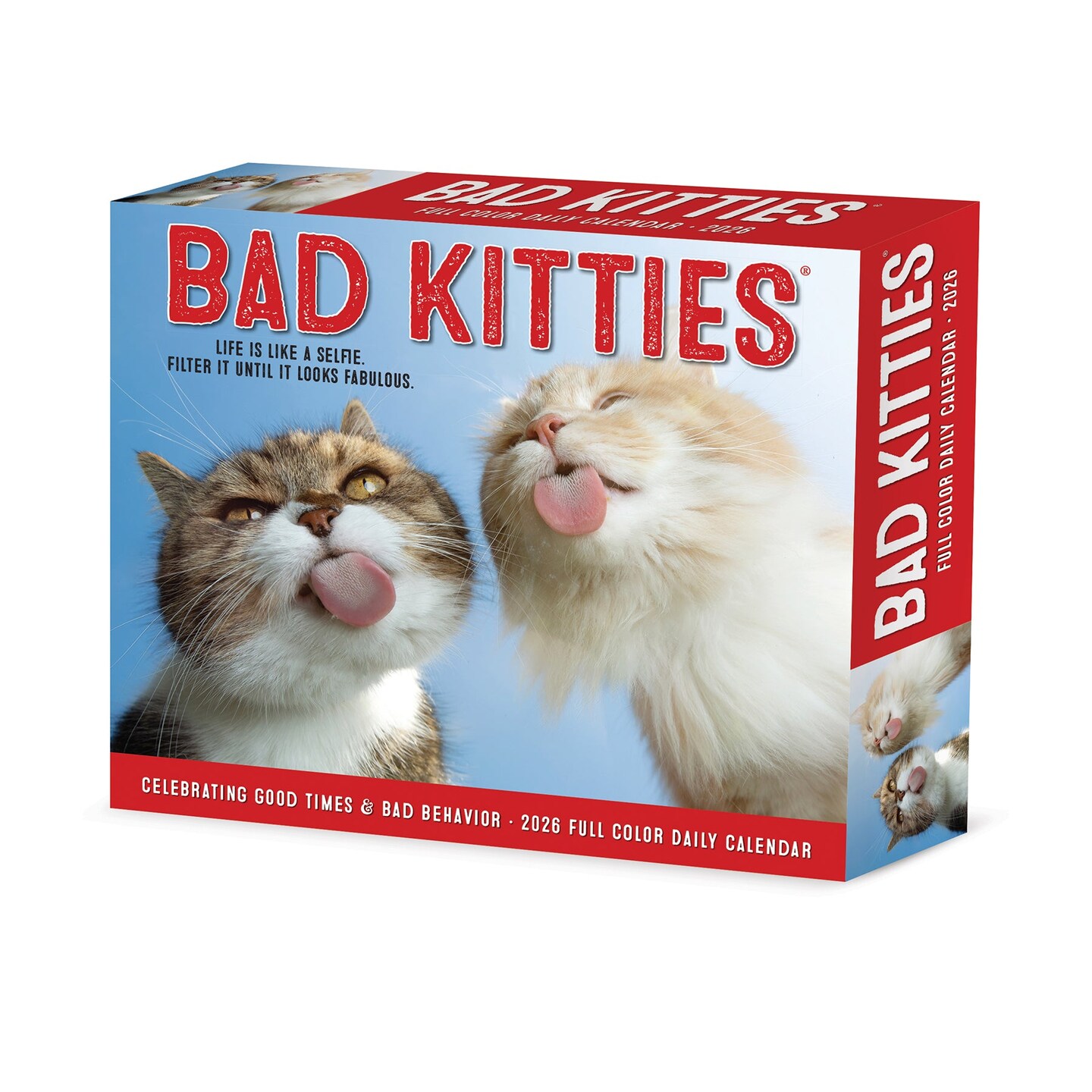 Bad Kitties 2026 Box Calendar
