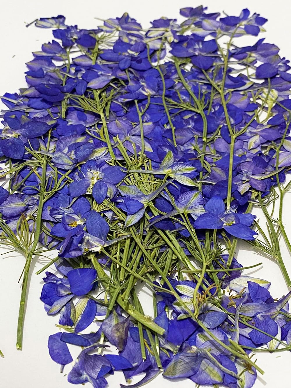 6 pcs Purple Larkspur with Stem Real Natural Dried Pressed Flowers for Resin Scrapbooking DIY Candle Decoration Jewelry Crafts