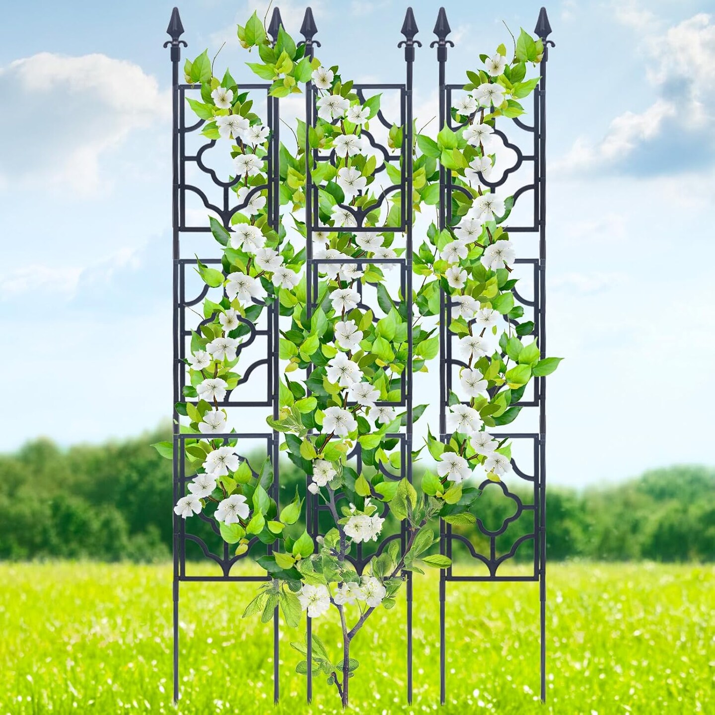 Garden Trellis for Climbing Plants 65 Inch