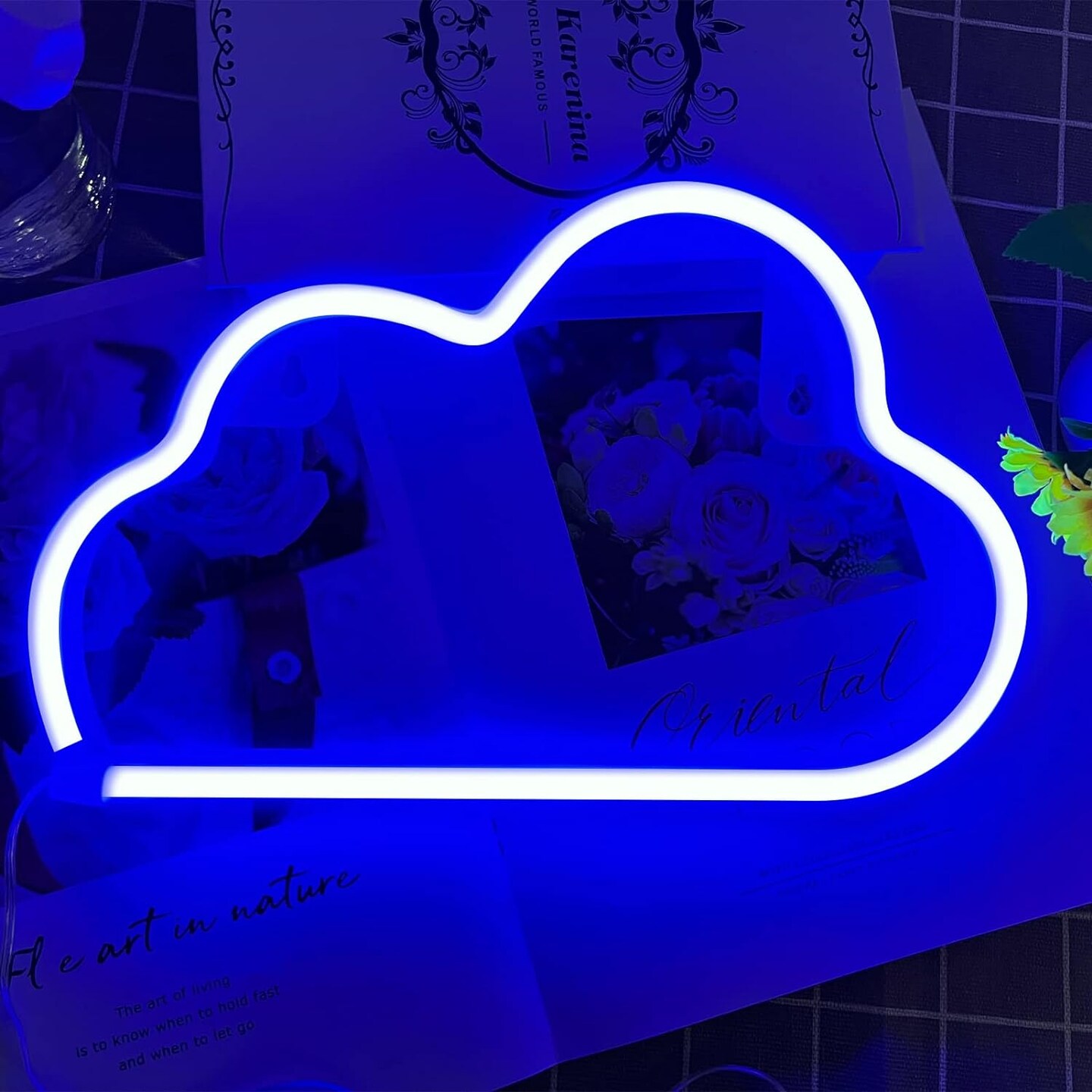 Summer Cloud Neon Sign - LED Cloud Light for Bedroom Aesthetic, USB or Battery Powered Wall Decor for Summer Vibes