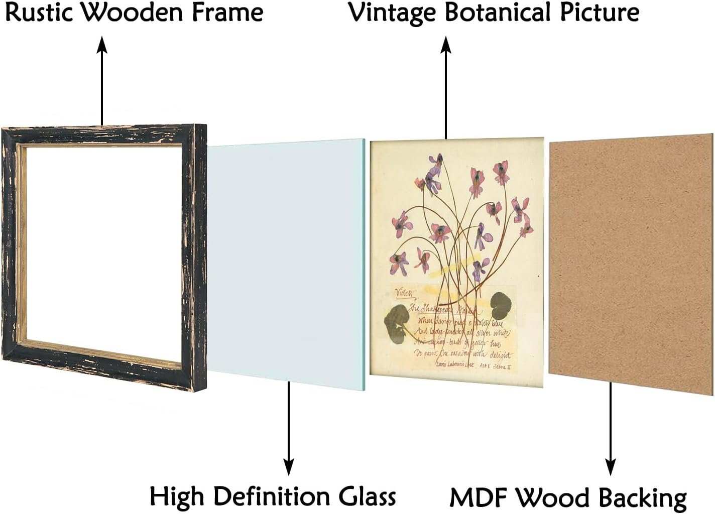 Summer Botanical Wall Decor Set of 2, Vintage Botanical Prints Wooden Framed Floral Plant Pictures, Poster Decor for Bathroom, Bedroom, Living Room, and Office, 10x10 Inch