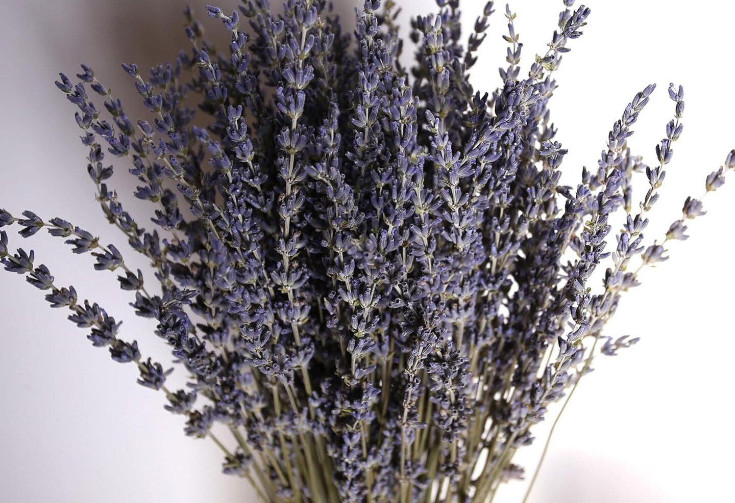 Dried Lavender 2 Bunches 100% Fresh Natural Purple Bouquet Flowers for Bathroom Photo Props Crafts Decoration, 15-17" for Shower Weeding Vase Decor, Home Fragrance(200-220 Stems(100g/3.5oz Total))