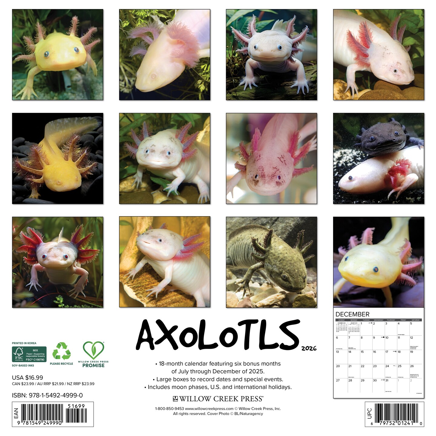 Axolotls 2026 Wall Calendar