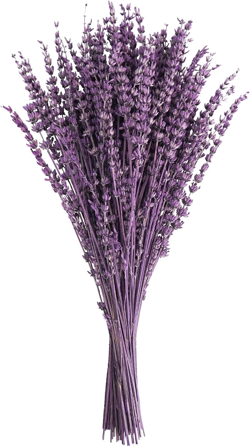 Dried Lavender Flowers, 16&#x22; Dried Lavender Bundles Dried Purple Preserved Lavender Bouquet for Shower Weeding Home Fragrance Vase Crafts Decor, 50g (1.76oz)