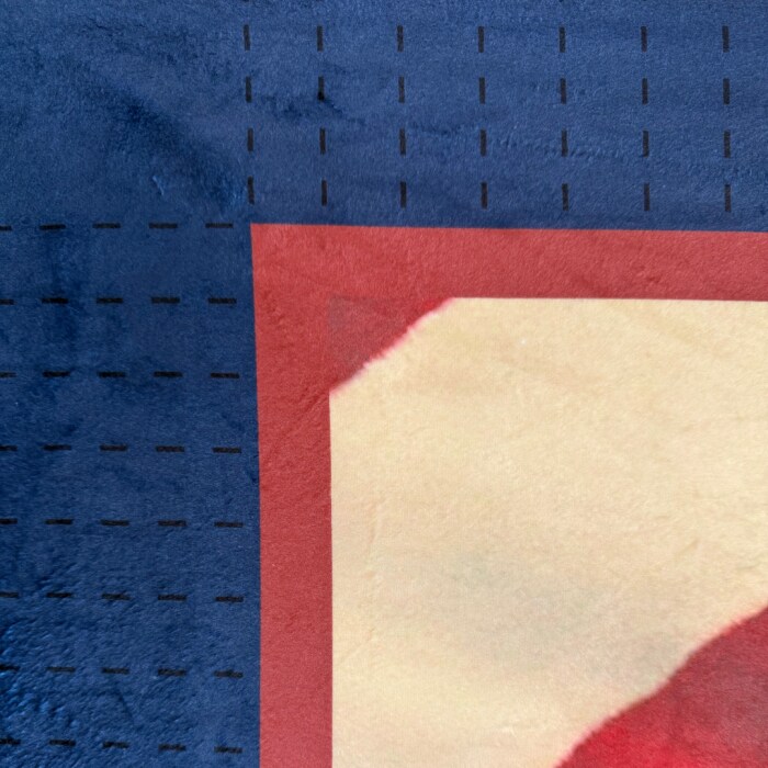 Patriotic Eagle Soars Silky Premium Fleece No-Sew Throw Fleece Fabric Kit (50x60)