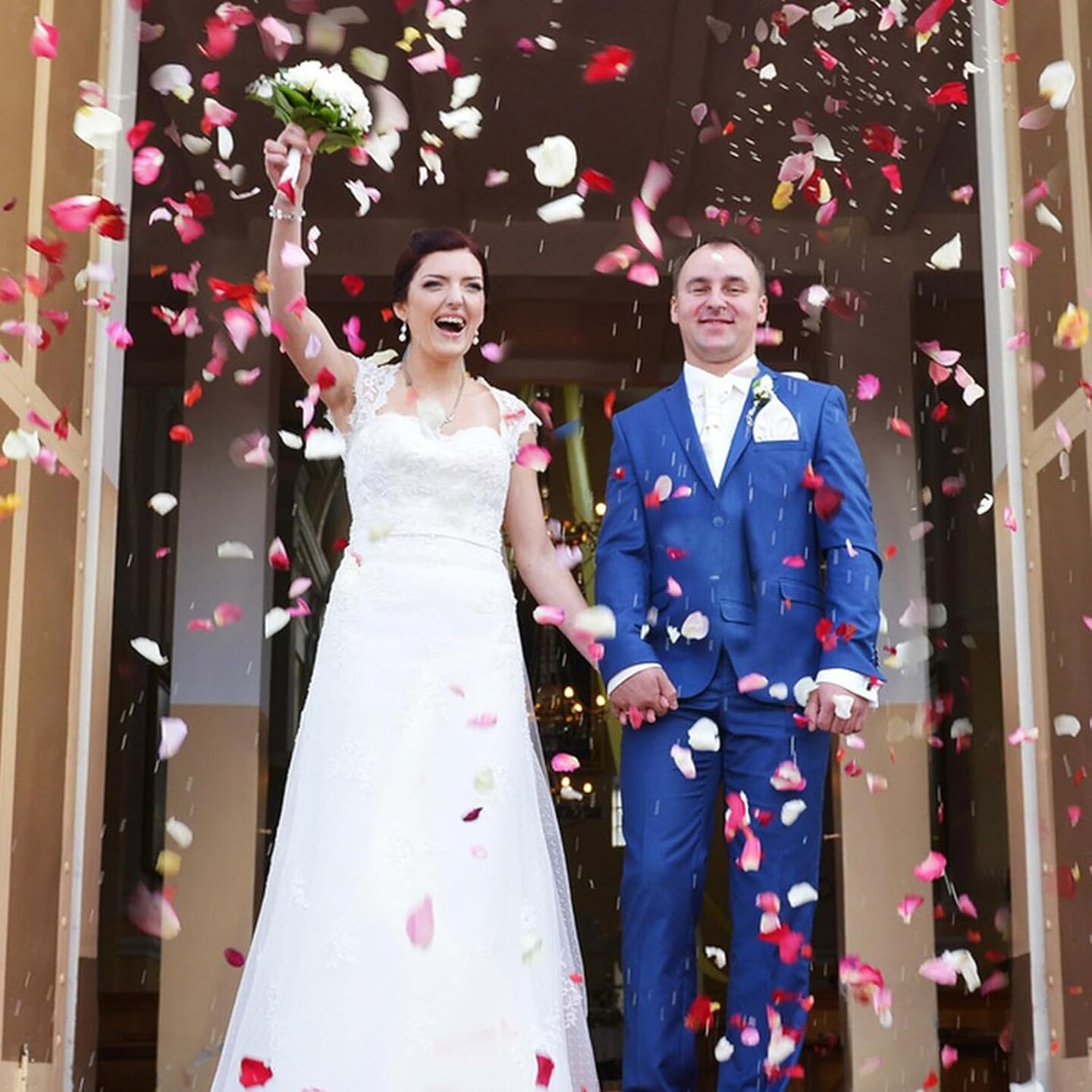 240 PCS Real Pink White Rose Flower Petals Confetti for Wedding Flower Girl