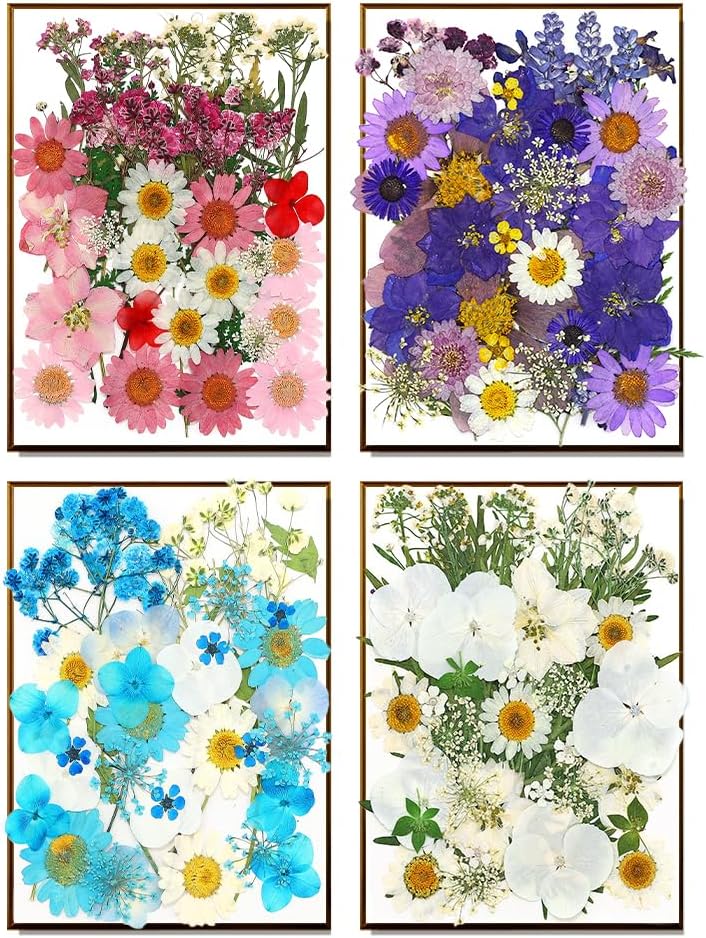 170Pcs+ Real Dried Pressed Flowers Leaves Petals for Crafts-Beautiful Pressed Flowers Daisies for Resin Jewellery