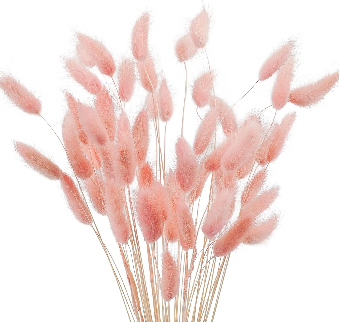 17’’ Natural Bunny Tails Dried Flowers, 120 Pcs Dried Lagurus Ovatus, Dried Pink Pampas Grass Decor
