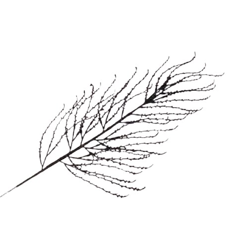 36&#x22; Black Flocked Branch Halloween Artificial Plastic Pick