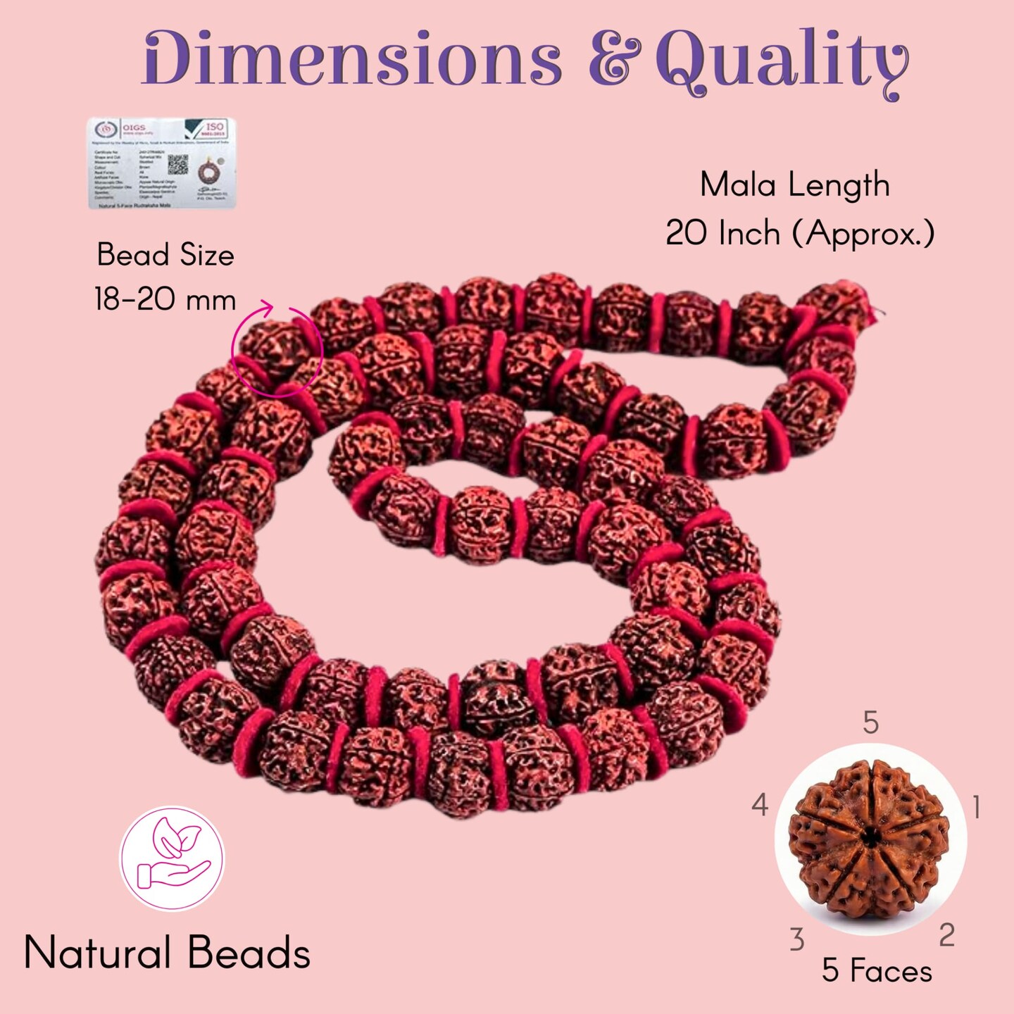 Certified Rudraksha Kantha Mala + Japa Bag Gaumukhi 5 Face (panchmukhi) Himalayan Authentic Genuine Rudraksh Rosary Garland Jaap Religious Tibetan Mala Beads Necklace - Puja Yoga Meditation