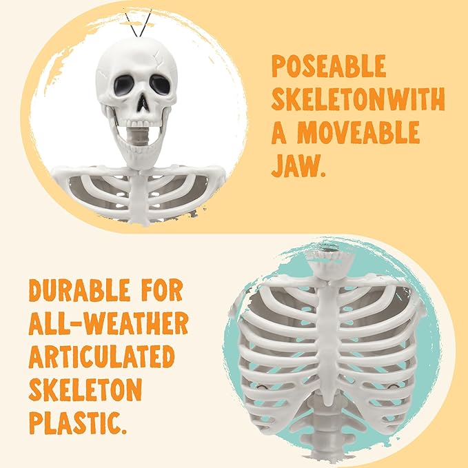 2 PCS 24&#x22; Halloween Posable Skeletons Hanging Full Body Posable Plastic Skeletons with Movable Joints for Halloween Party, Graveyard Spooky Indoor and Outdoor Decorations(White)