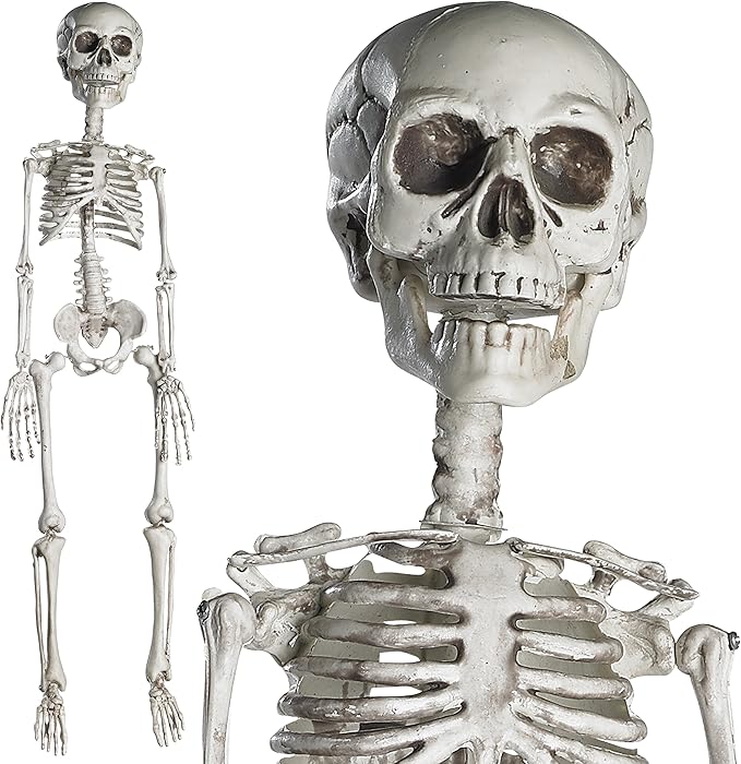 Halloween Skeleton for Halloween D&#xE9;cor &#x26; Day of The Dead D&#xE9;cor - 2.5 ft Full Size Halloween Plastic Skeleton with Movable Joints for Best Halloween Skeletons Decoration - Indoor &#x26; Outdoor