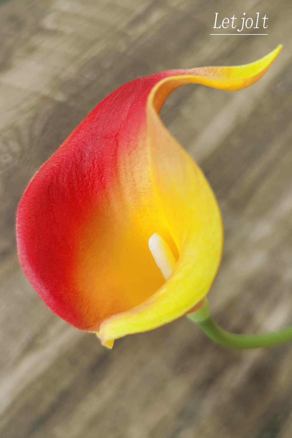 12Pcs Artificial Calla Lily Home Decoration Faux Calla Lilies Flower (Red-yellow)