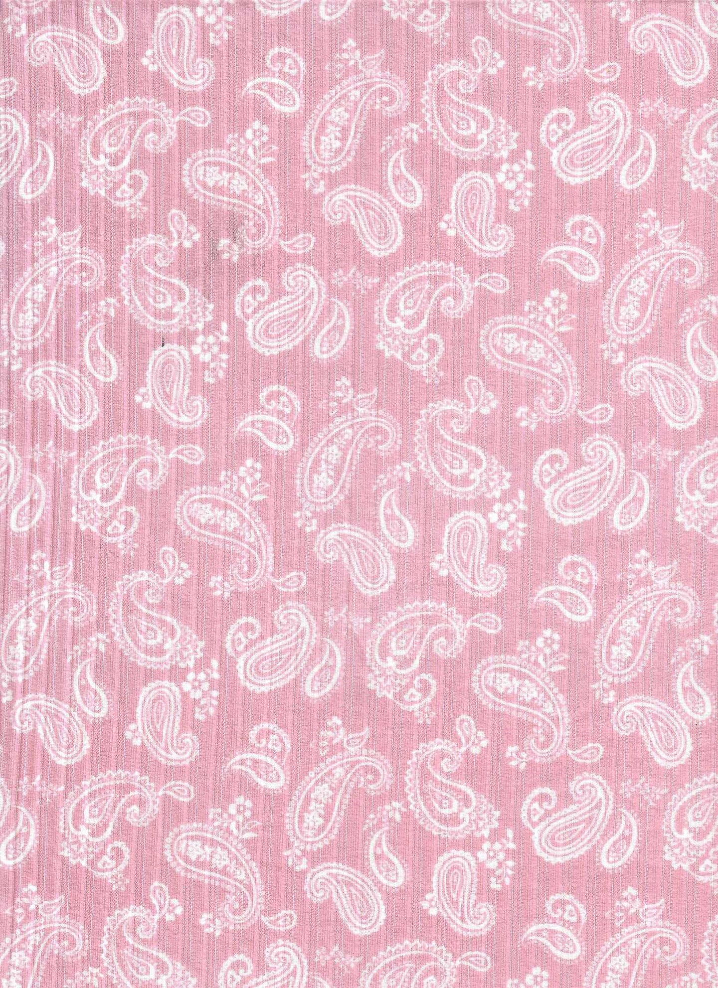 1 Yard Paisley Print Yummy Rib Knit Fabric 8x3 Soft Stretch 58/60" Wide
