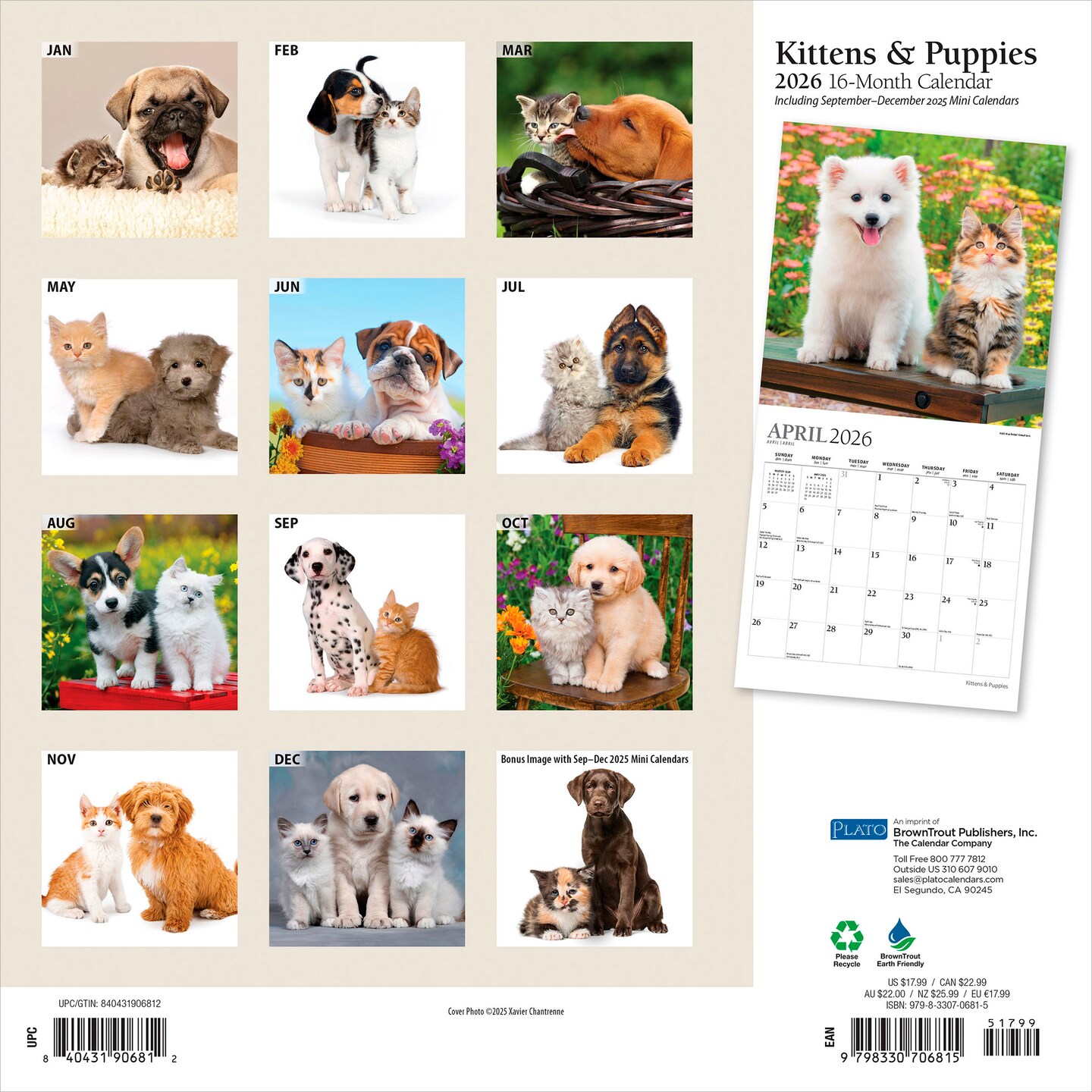 Kittens &#x26; Puppies | 2026 12 x 24 Inch (Hanging) Monthly Square Wall Calendar | Foil Stamped Cover