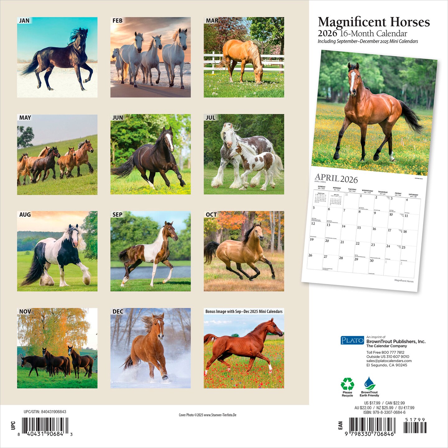 Magnificent Horses | 2026 12 x 24 Inch (Hanging) Monthly Square Wall Calendar | Foil Stamped Cover