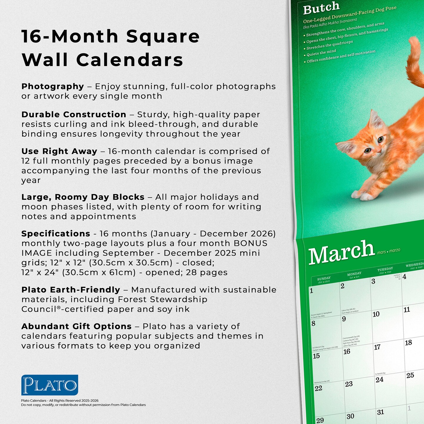 Yoga Kittens OFFICIAL | 2026 12 x 24 Inch (Hanging) Monthly Square Wall Calendar