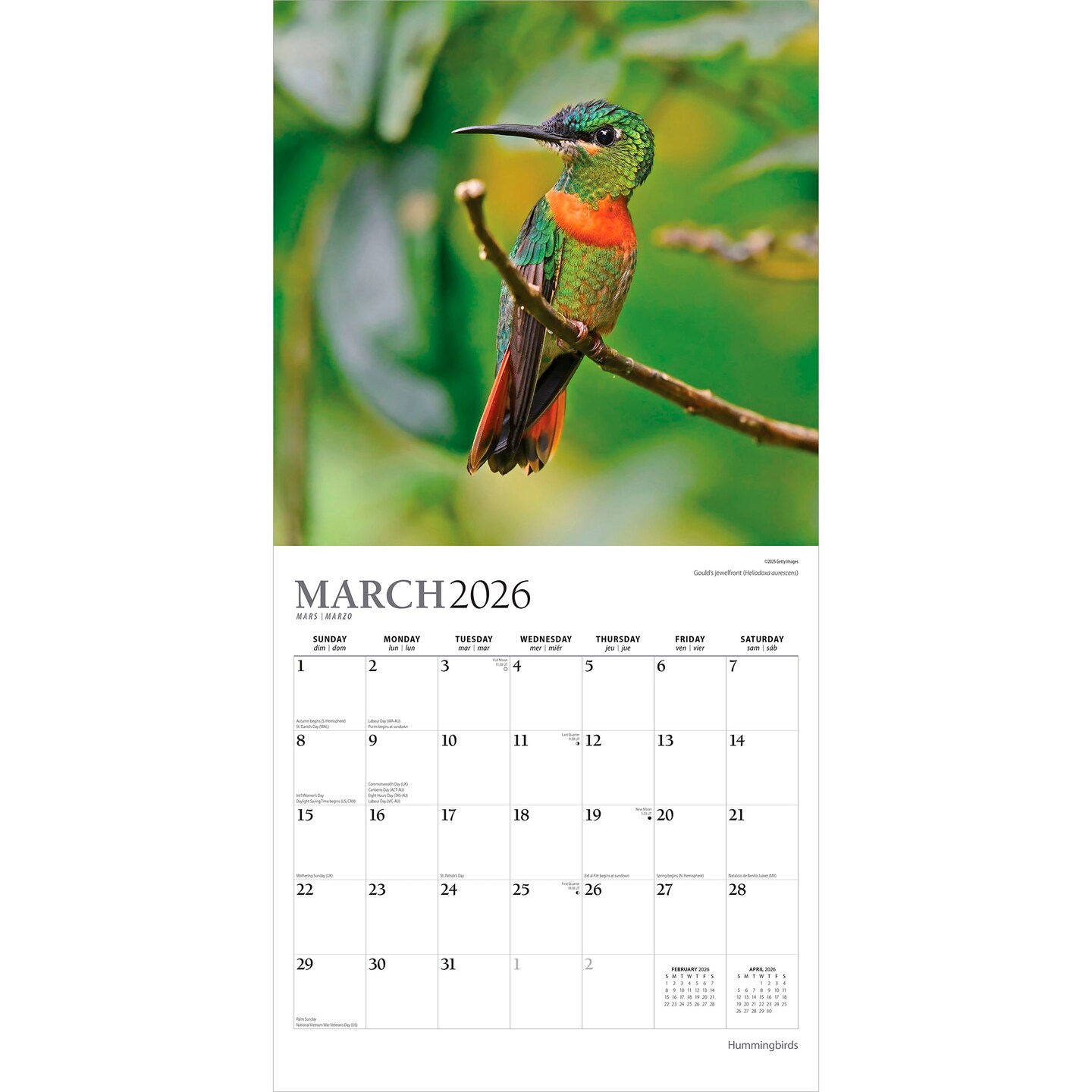 Hummingbirds | 2026 12 x 24 Inch (Hanging) Monthly Square Wall Calendar | Foil Stamped Cover