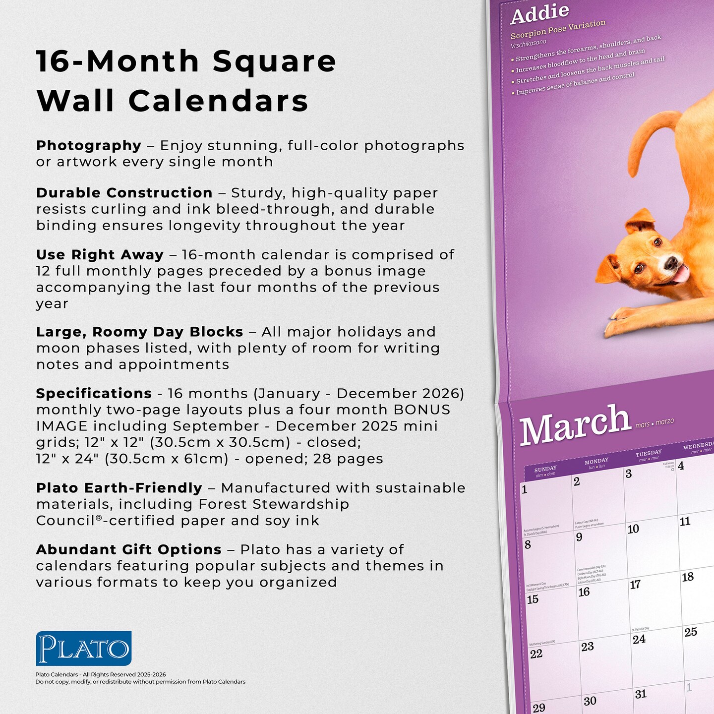 Yoga Puppies OFFICIAL | 2026 12 x 24 Inch (Hanging) Monthly Square Wall Calendar