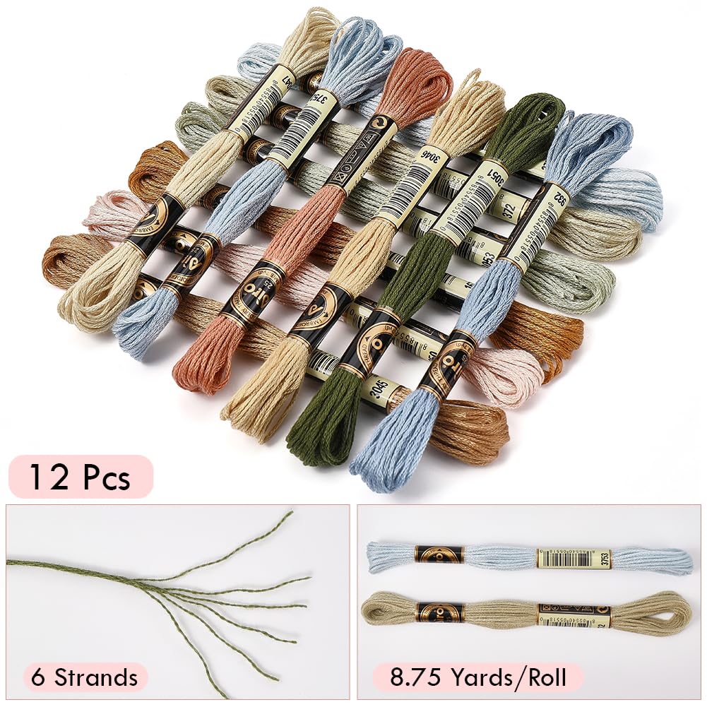 12 Skeins Embroidery Floss Thread Variegated Cross Stitch Floss 6 Ply Gradient Color Friendship Bracelet String Threads Bulk for Jewelry Making Sewing Bracelets Knitting Stitching Craft DIY