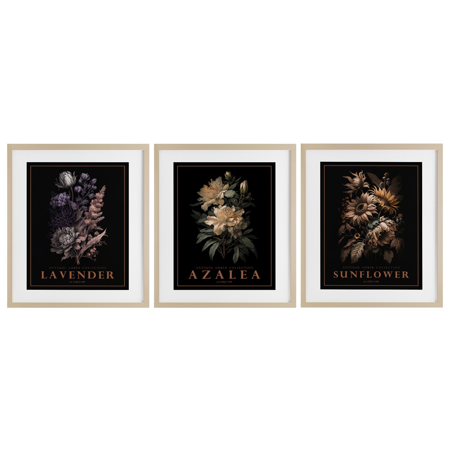 Stupell Industries Antique Botanical Herb Bushels 3pc Framed Print Under Glass Set, design by Christopher Giampietro