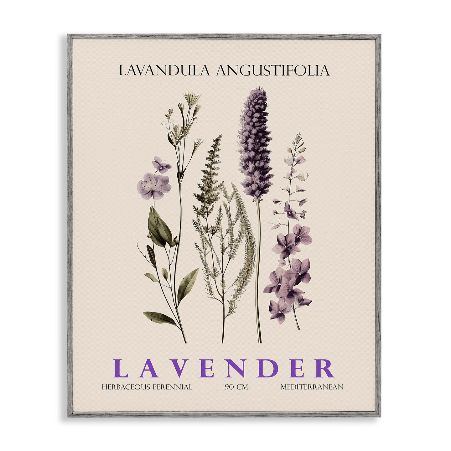 Stupell Industries Natural Lavender Bundle Framed Giclee, design by Christopher Giampietro