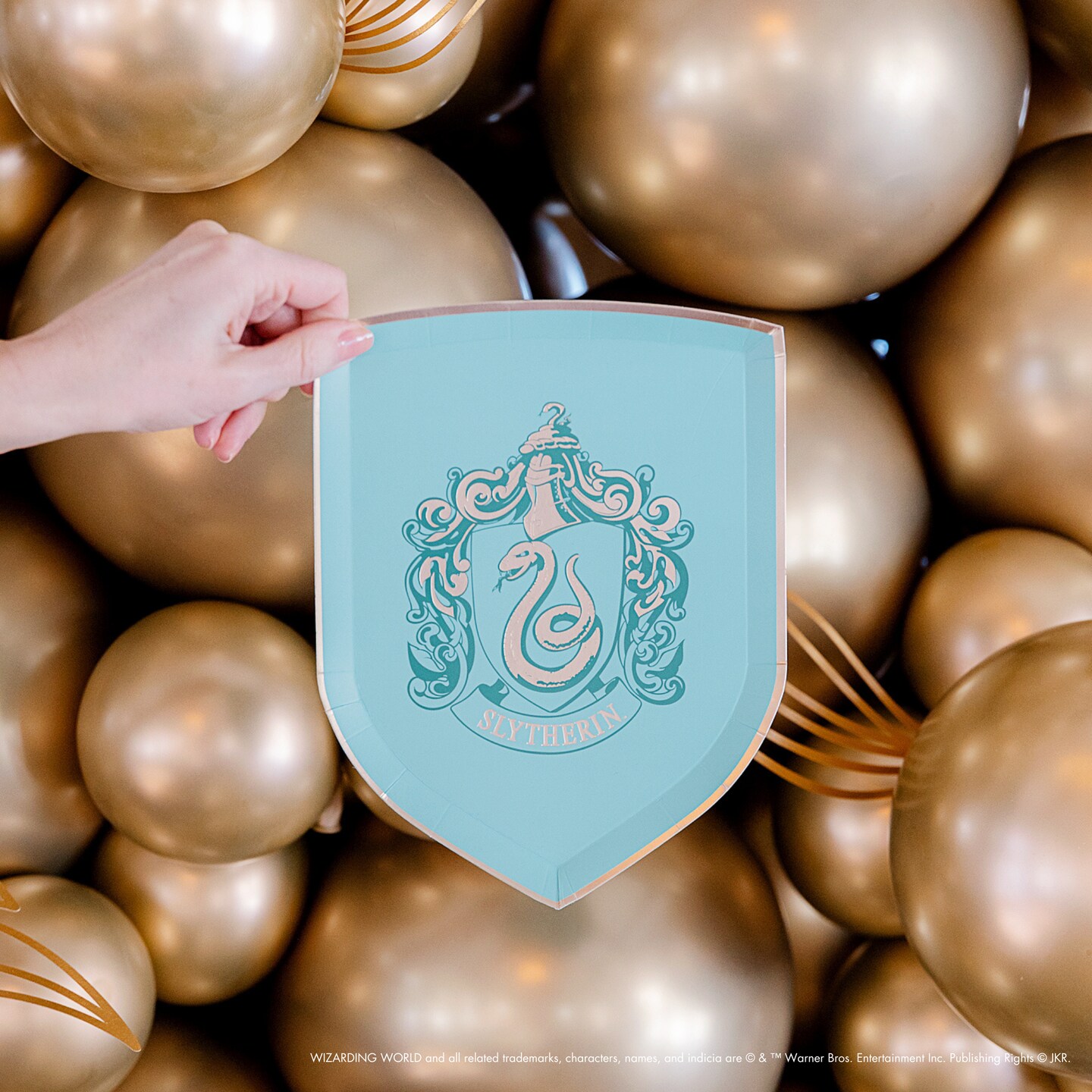 HARRY POTTER X BONJOUR F&#xCA;TE HOUSE PRIDE SMALL PLATES