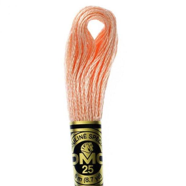 DMC Embroidery Floss, 6-Strand - Peach #353