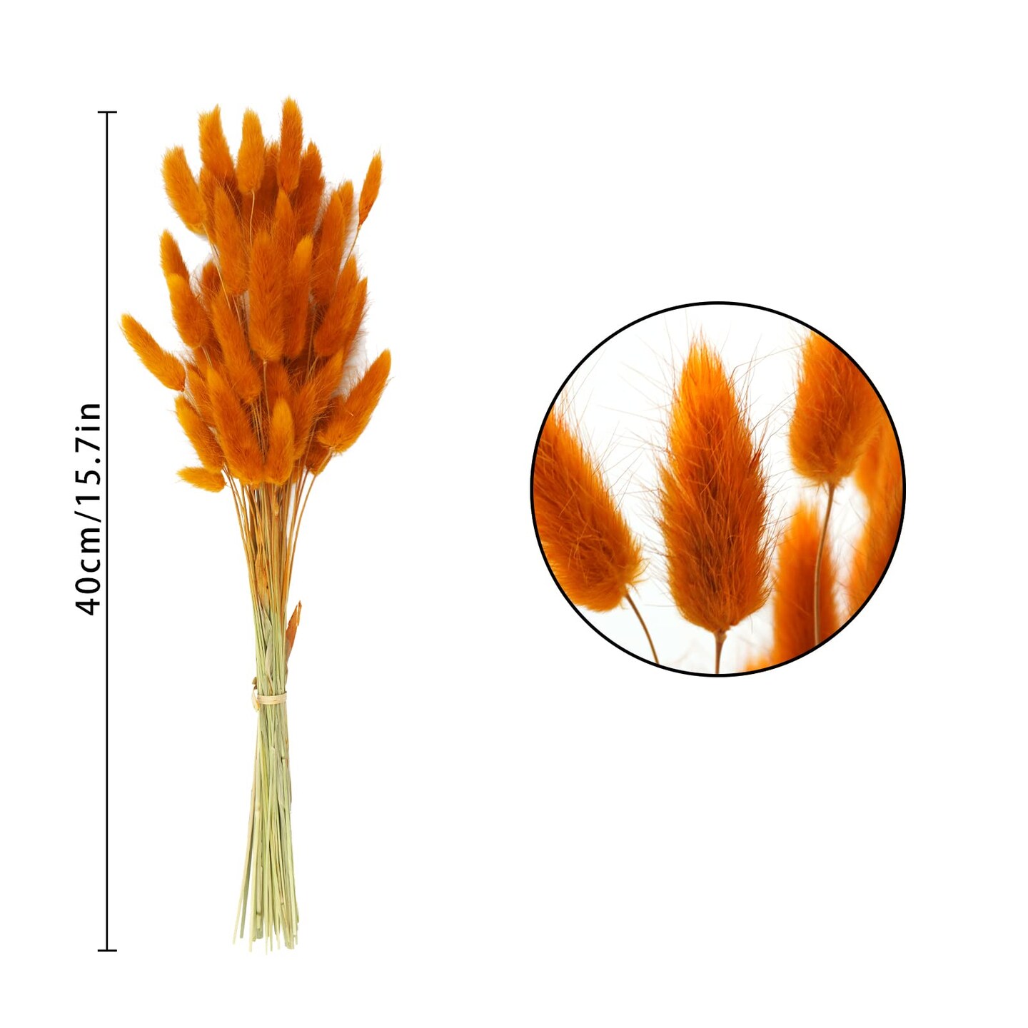 Uieke 17’’ Natural Bunny Tails Dried Flowers, 240 Pcs Dried Lagurus Ovatus, Dried Pampas Grass for Flower Arrangements Wedding Centerpieces Home Boho Baby Shower Party Fall Decorations (Orange)