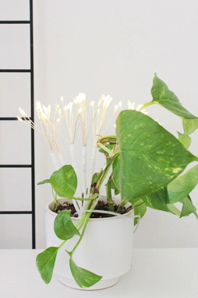 Whimsical Dandelion LED Light – 80 Warm LEDs on Bendable Wire, Battery Powered