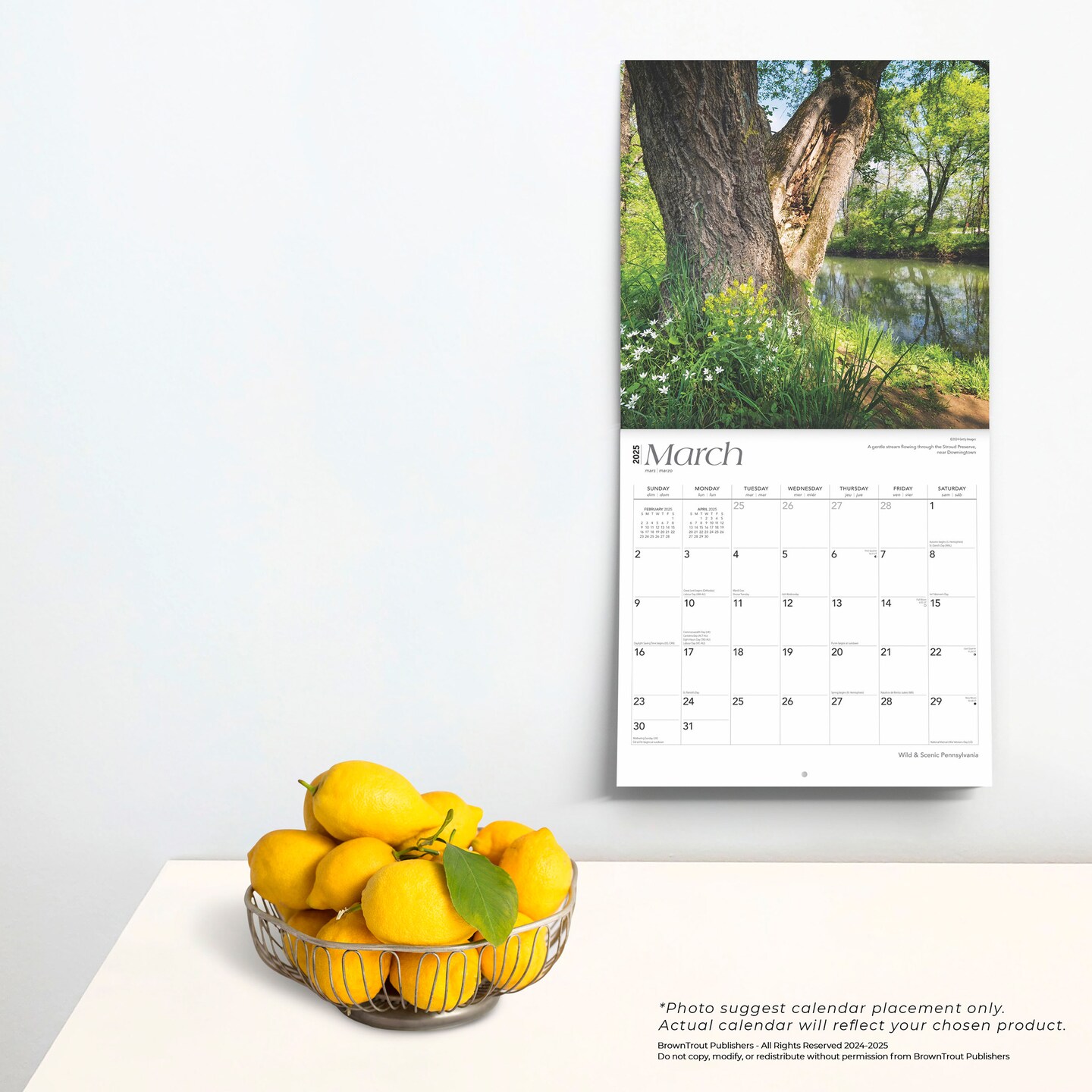 Pennsylvania Wild &#x26; Scenic | 2025 12 x 24 Inch Monthly Square Wall Calendar | Plastic-Free | BrownTrout | USA United States of America Northeast State Nature