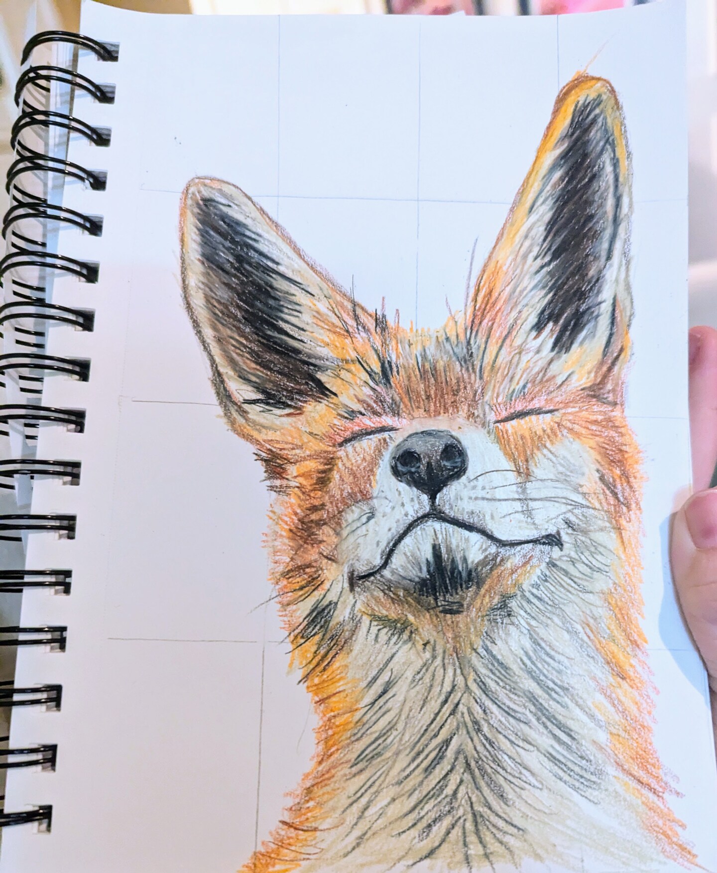 Create realistic drawings with grid techniques