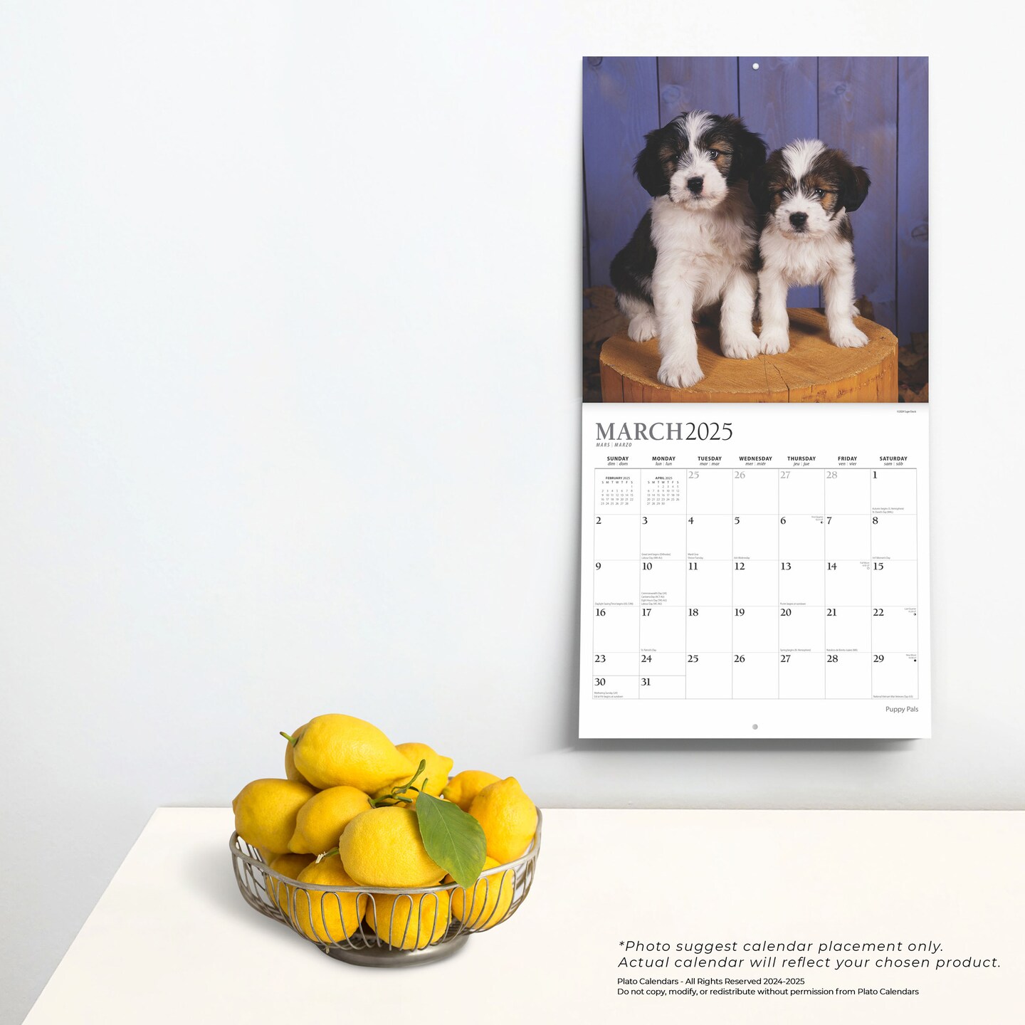 Puppy Pals | 2025 12 x 24 Inch Monthly Square Wall Calendar | Foil Stamped Cover | Plato | Animals Dog Breeds Pets