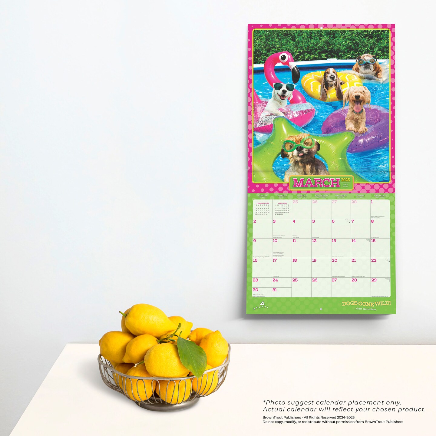 Avanti Dogs Gone Wild OFFICIAL | 2025 12 x 24 Inch Monthly Square Wall Calendar | Plastic-Free | BrownTrout | Canine Pet Humor