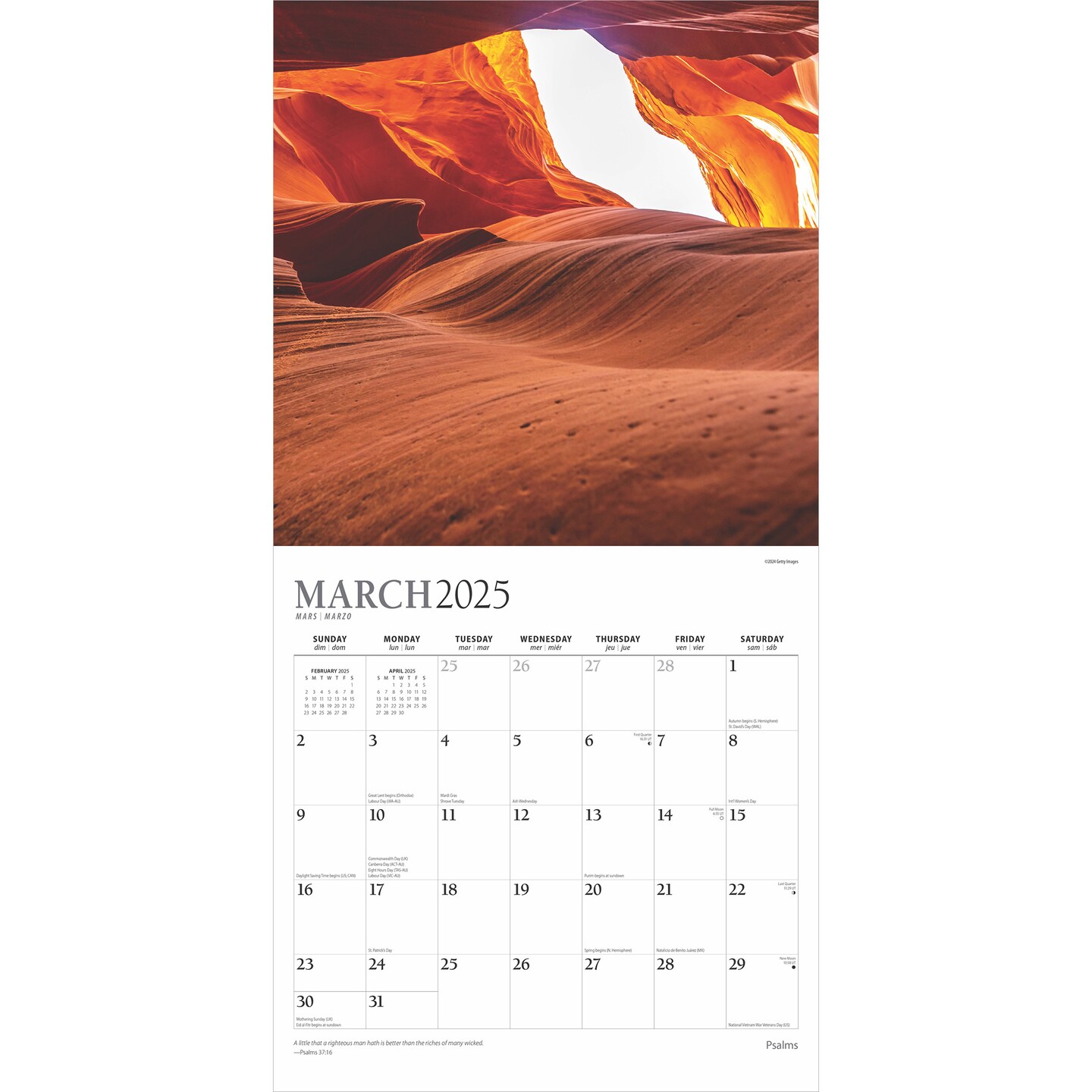 Psalms | 2025 12 x 24 Inch Monthly Square Wall Calendar | Foil Stamped Cover | Plato | Religion Hymns Lord