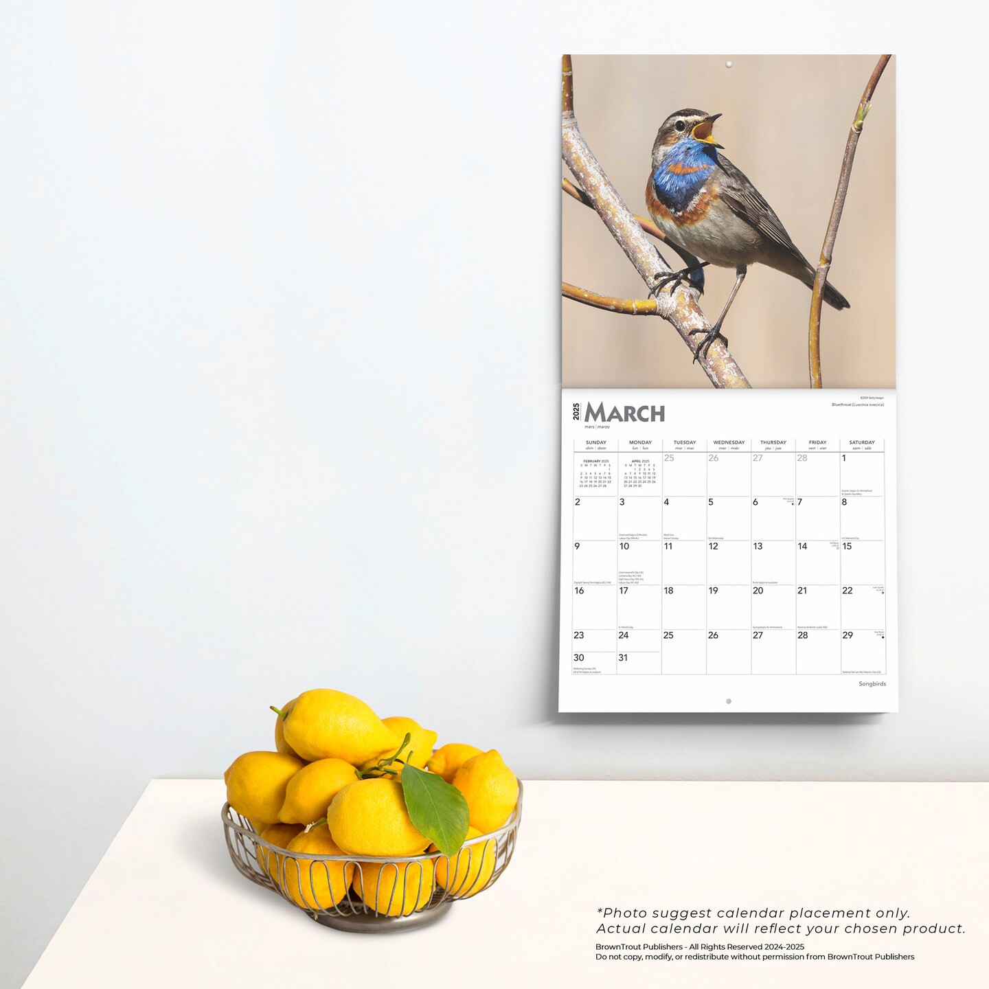 Songbirds | 2025 12 x 24 Inch Monthly Square Wall Calendar | Foil Stamped Cover | Plastic-Free | BrownTrout | Wildlife Animals