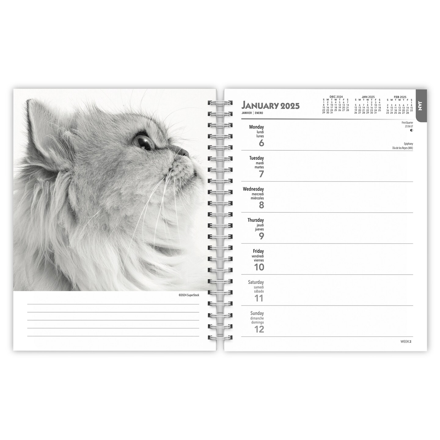 The BrownTrout Portrait Series: The Regal Cat | 2025 6 x 7.75 Inch Spiral-Bound Wire-O Weekly Engagement Planner Calendar | New Image Every Week | Pet Kitten Feline