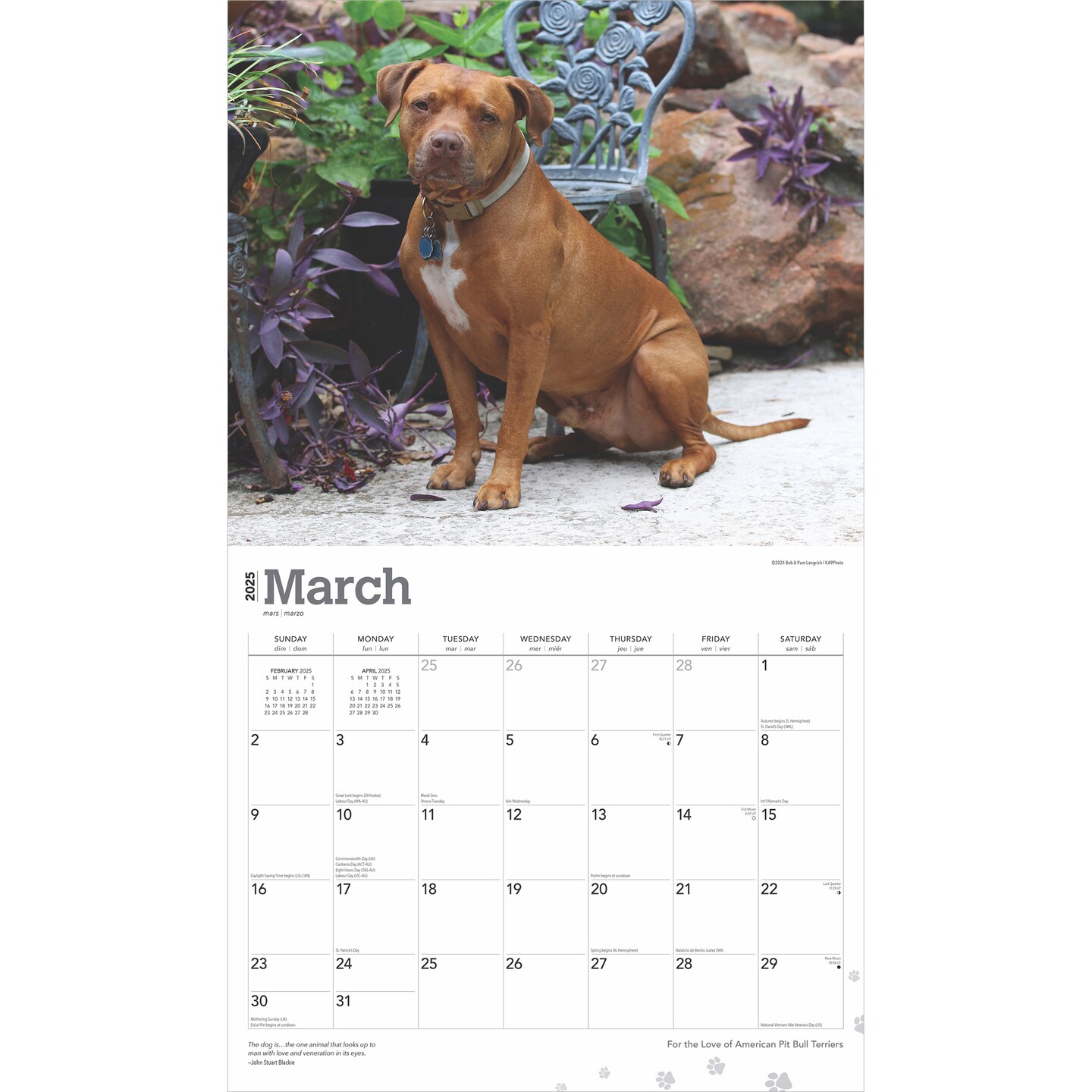For the Love of American Pit Bull Terriers | 2025 14 x 24 Inch Monthly Deluxe Wall Calendar | Foil Stamped Cover | Plastic-Free | BrownTrout | Animal Dog Breeds